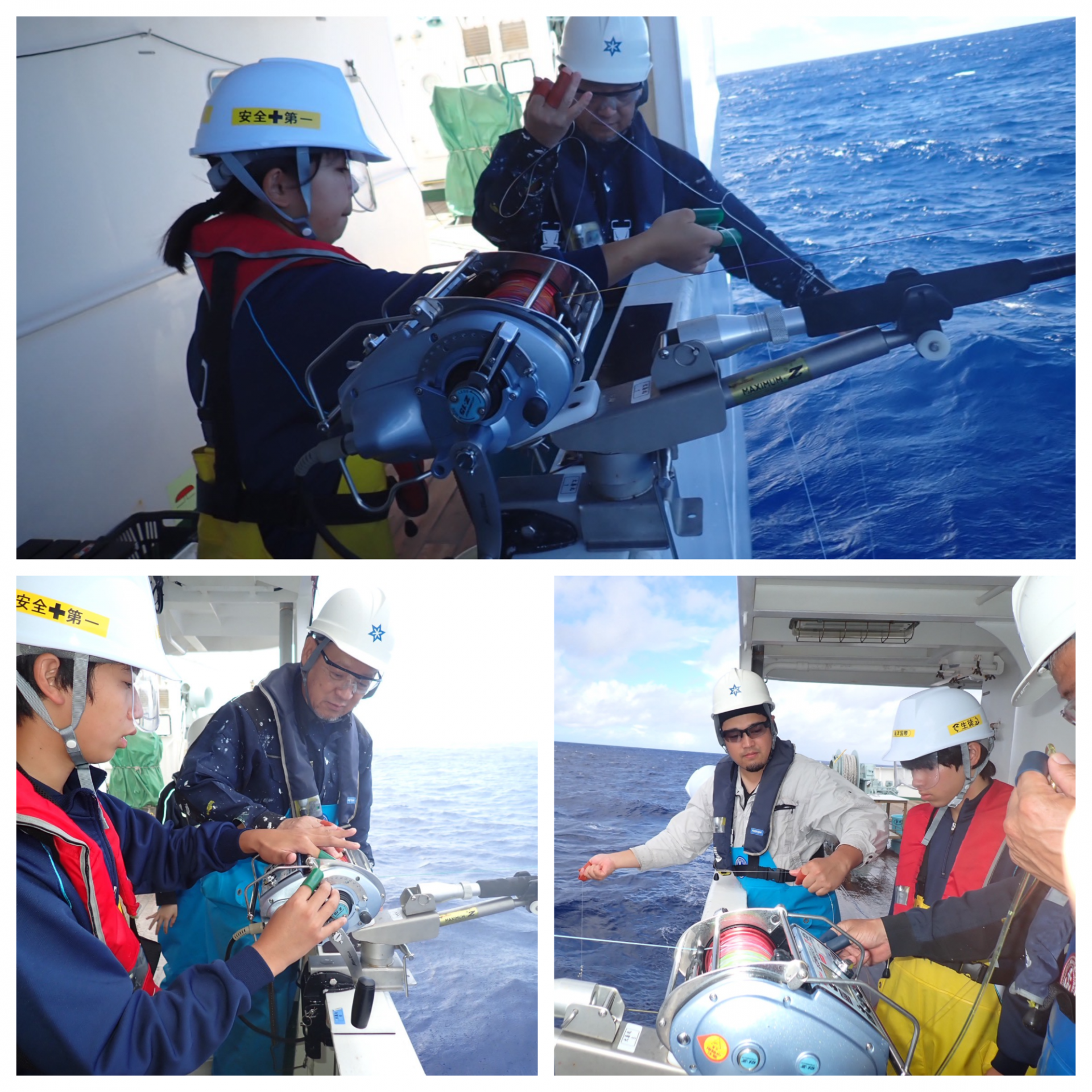 Blank 3 Grids Collage - 2025-10-27T133605.581